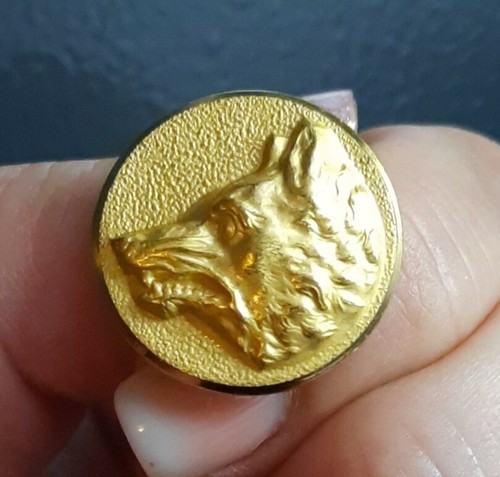 M07 tête loup doré d22mm - tête,