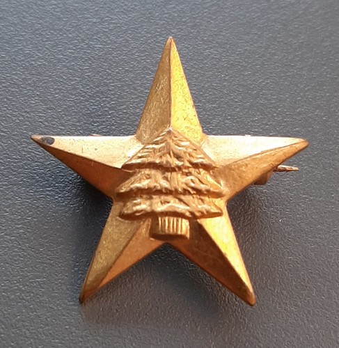 Insigne miniature fds beyrouth - insigne,