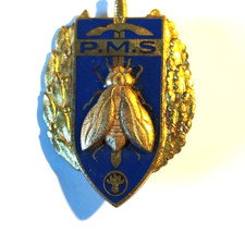 Insigne militaire pucelle - , (