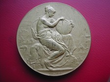 EXPOSITION COLONIALE (PARIS) 1907 RARE MEDAILLE JURY ROCCA TRASSY DE ROUX