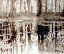 EUGENE ATGET PAYSAGE