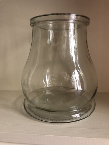 Bocal terrarium plantes - plantes, ou
