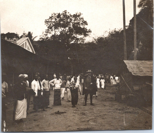 Ceylan kandy le - (sri, kandy,