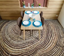 Structure en bois 3D 1739 sol