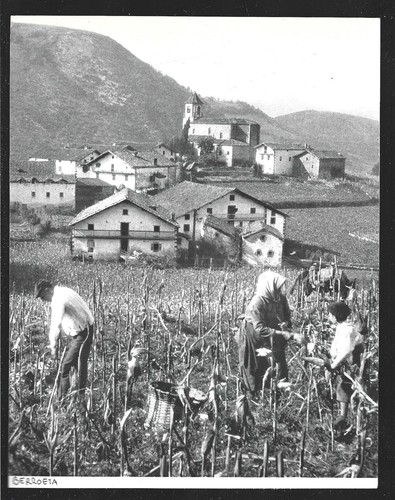 1951 navarra navarre - --,
