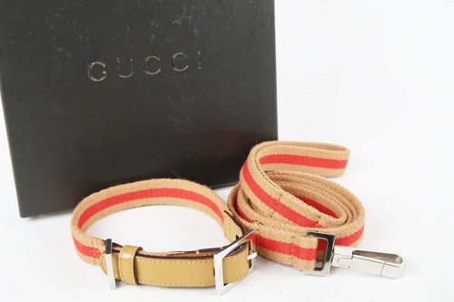 Collier chien gucci - chien,