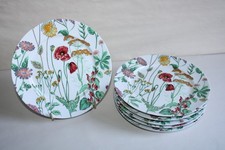 6 assiettes desserts en porcelaine CNP Oxford, décor fleurs des champs, 20.5 cm