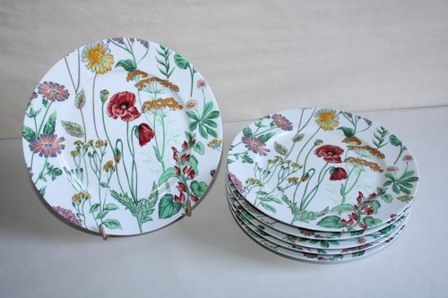 Assiettes desserts en - 6,