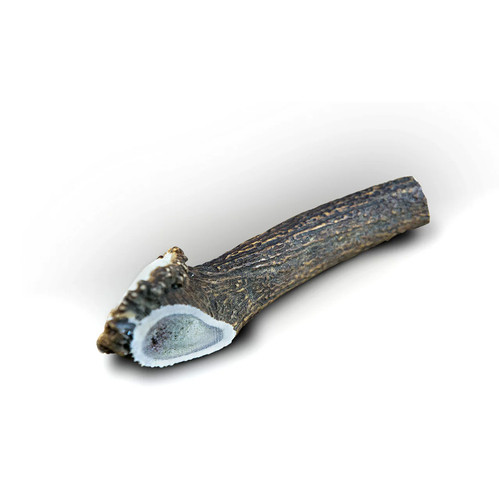 Bois cerfs entier - xl,