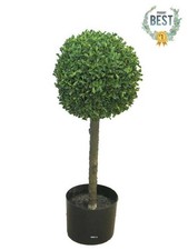 Buis boule factice sur tronc