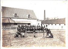 France, Militaires, photo de