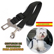 Chiens Ceinture De Sécurité