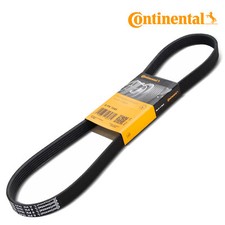 Original Continental Courroie