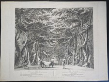 Don Quichotte Gravure 1776 Le