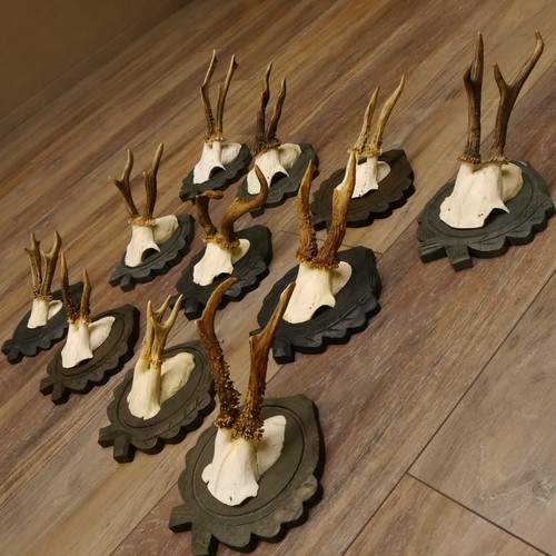 Bois cerf pièces - cerf,