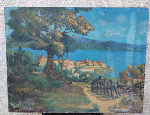 Corse ajaccio depuis bois - le,
