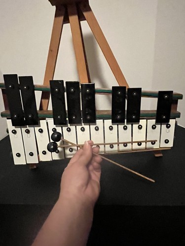 Xylophone hard case - hard,