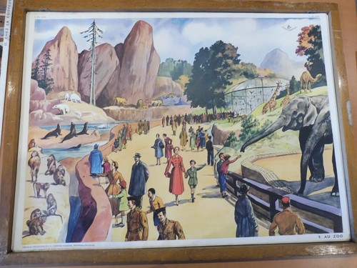 Affiche scolaire rossignol - affiche,