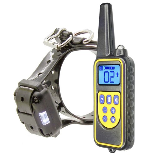 Collier dressage chien - collier,