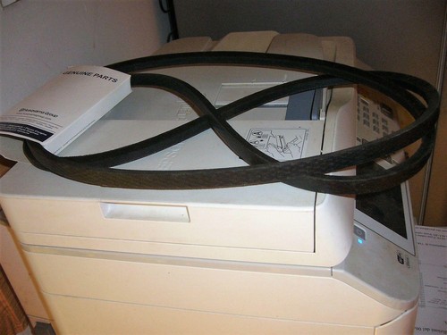 Courroie ceinture moteur - courroie,