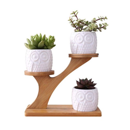 Lot pots fleurs en - de,