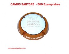 News capsule champagne - -,