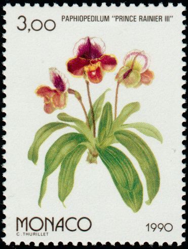 Monaco 1711 osaka 90 - 1711, "osaka