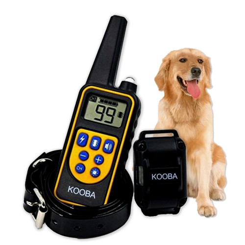 Collier dressage chien 800m - dressage,