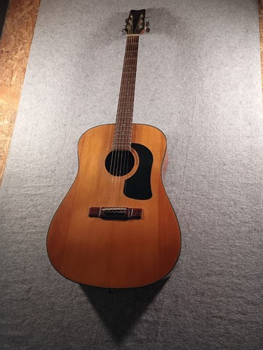 Washburn acoustic guitar n - acoustic,