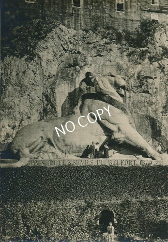 Photo lion de belfort - lion,