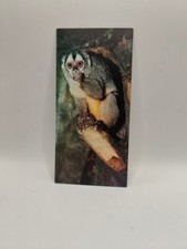 Nestlé MERVEILLES DU MONDE