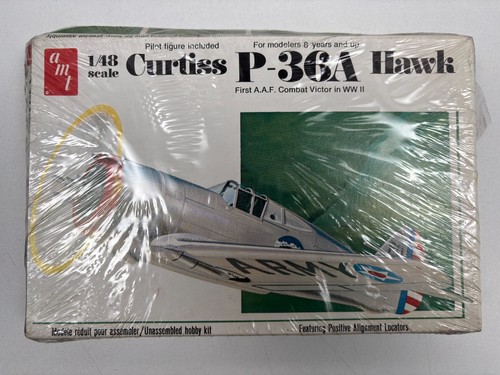 Amt curtiss 36a hawk - amt,