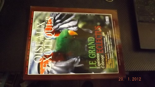 Revue cde oiseaux exotiques - gc,