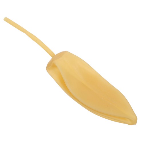 Ballon vessie en - ballon,