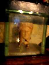 Visage sculpté dans un os d une deesse  ou dame romaine avec vitrine