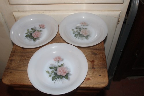 Assiettes creuses arcopal - ,