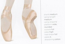 Bloch Toe Pointe shoes