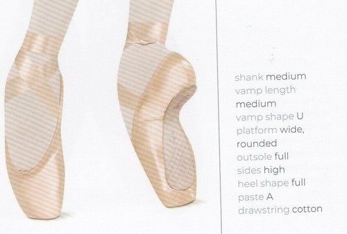 Bloch toe pointe shoes - pointe,