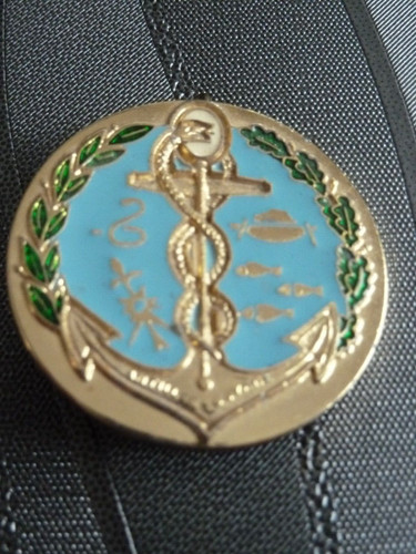 Original militaire insigne - original,