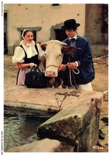 ASOP3-0246-25 - PAYS DE MONBELIARD - Groupe Folklorique - LE DIAIRI