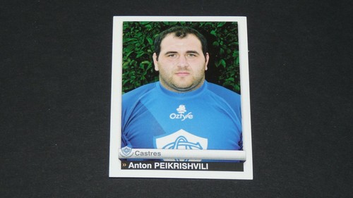 145 peikrishvili castres - n°145,