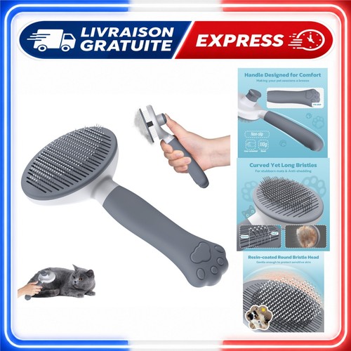 Zivacate brosse poils court - brosse, à