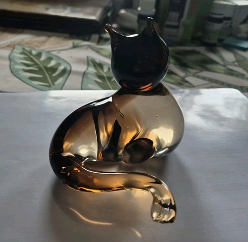 Tres beau chat - chat, de