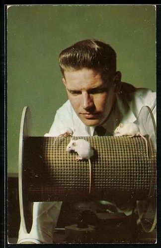 Lederle laboratories - ak,