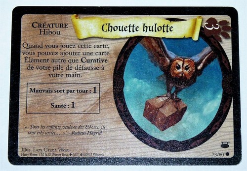 Carte tcg harry potter - tcg,