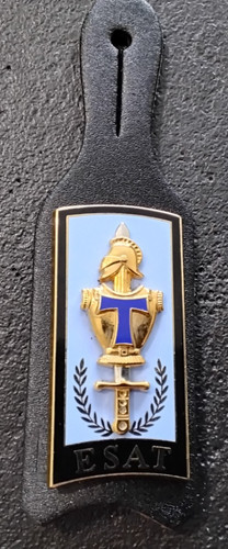 Insigne pucelle militaire - insigne,