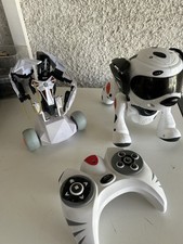 Chien Et Robot Spykee