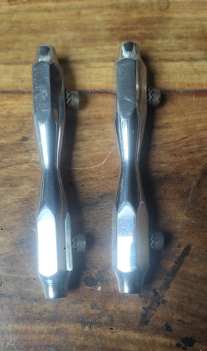 Coquilles asba revelation - x2,