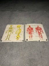 Lot de deux affiches scolaire anciennes Rossignol