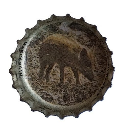 Capsules cap coca - cola, 6